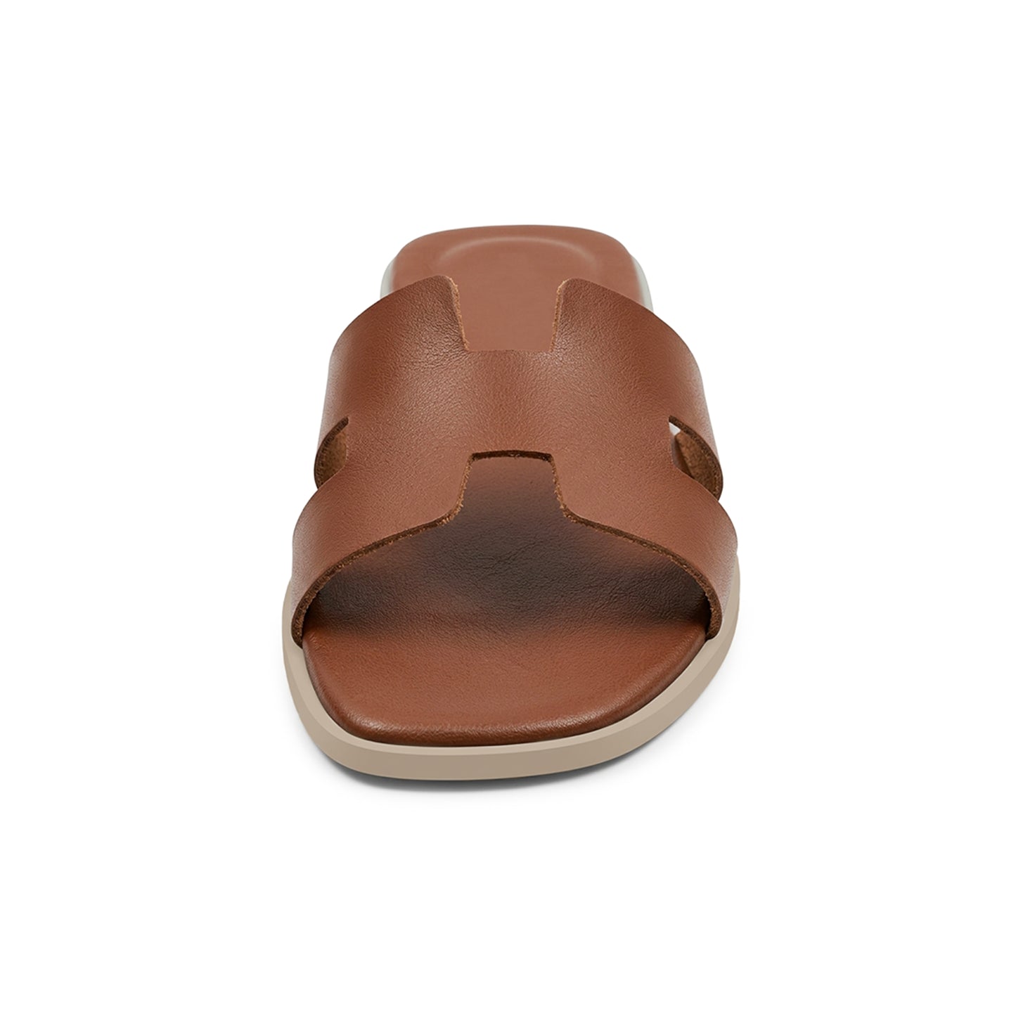 Terra Slides in Brown