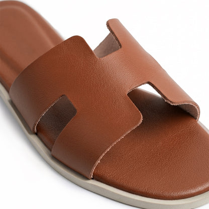 Terra Slides in Brown